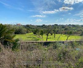 Terreno Agricolo Albano Laziale [A4200187]