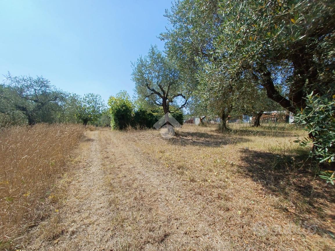 TER. AGRICOLO A CASTEL SANT'ELIA - Vista 2