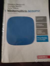 matematica azzurro 1