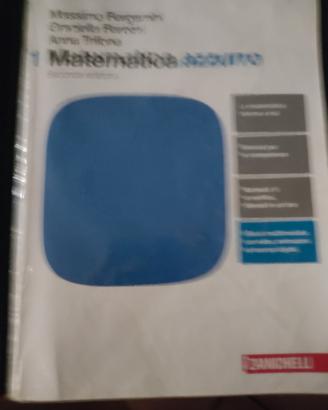 matematica azzurro 1