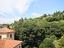 Immagine 15