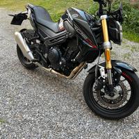 Morbidelli m502n