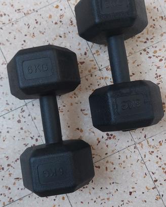Pesi da palestra