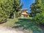 Immagine 9