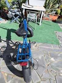 Bicicletta elettrica