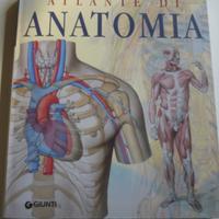 Atlante di anatomia