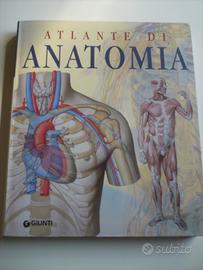 Atlante di anatomia
