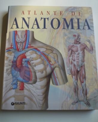 Atlante di anatomia