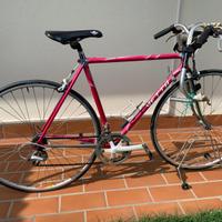 Bici da corsa per uomo