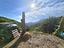 Immagine 25