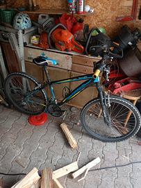 bicicletta MTB bambino