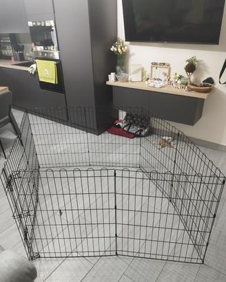 recinto per animali domestici 