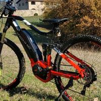 Bici elettrica 