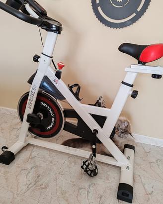 Cyclette da Spinning HOMCOM (Volano 8kg)