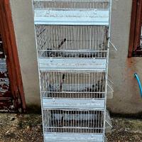 Gabbia voliera
