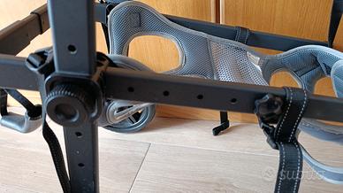 Carrello per cane disabile