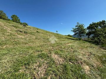 TER. AGRICOLO A GUALDO TADINO