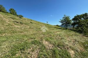 TER. AGRICOLO A GUALDO TADINO