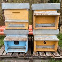 4 Arnie per Apicoltura/Api