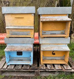 4 Arnie per Apicoltura/Api