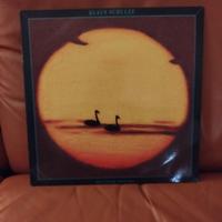 Vinile LP di Klaus Schulze