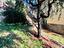 Immagine 13