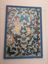 Quadro poster farfalle con cornice blu