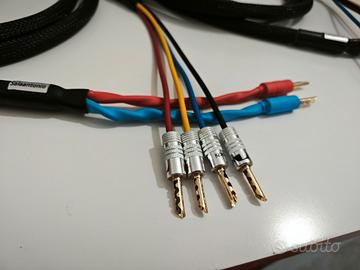 Cavo di potenza biwiring monowiring Salaantonio