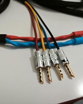 Cavo di potenza biwiring monowiring Salaantonio