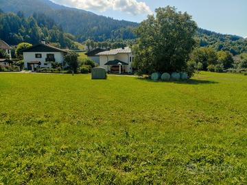 Vendita terreni in Comeglians