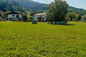 Vendita terreni in Comeglians