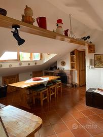 Ultimo piano ampio e versatile - Camigliatello