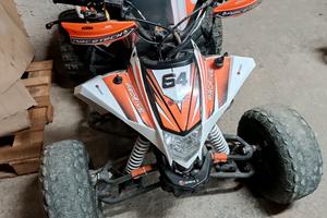 quad  mini 125