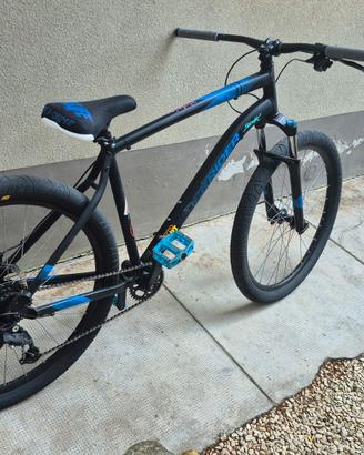 wheellie bike