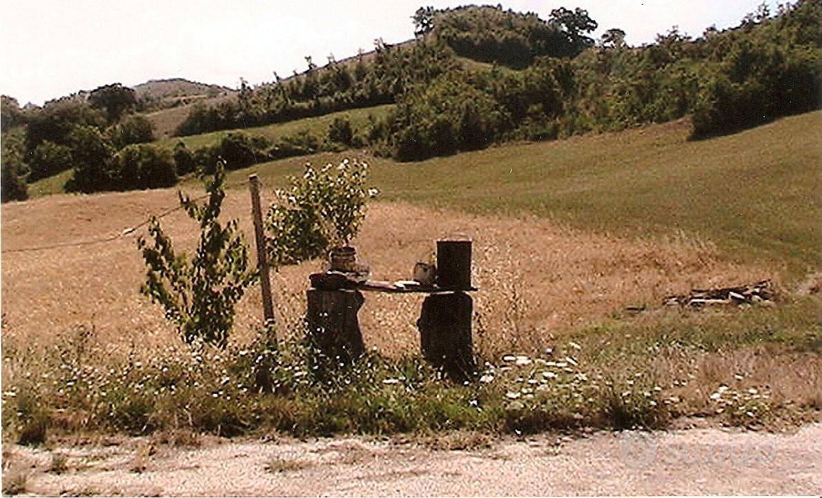 Terreno con casa colonica - Vista 2