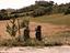 Immagine 2