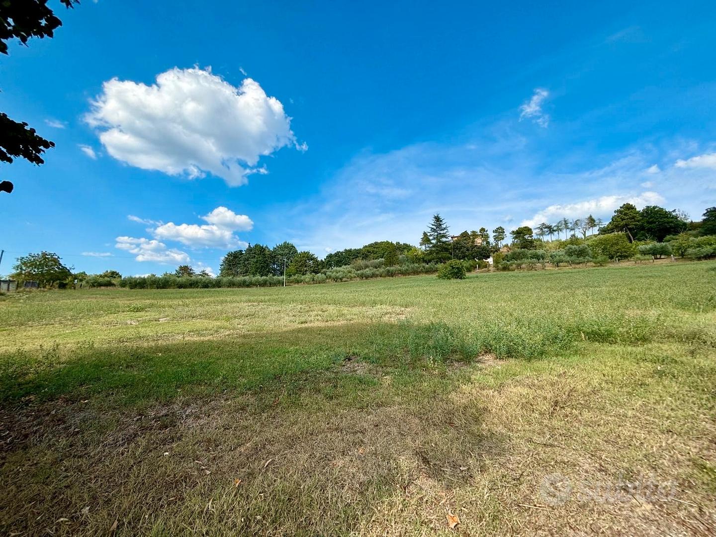 Terreno agricolo di 20.000 mq - Altro
