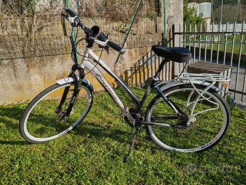 Bicicletta da donna 