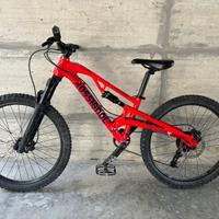 Bicicletta mtb/downhill misura 24