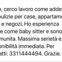 Babysitter o pulizie