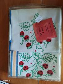 set strofinaccio e grembiule 