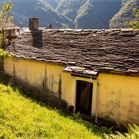 Cicogna, Parco Nazionale della Val Grande