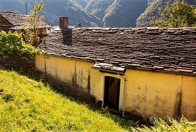 Cicogna, Parco Nazionale della Val Grande