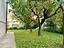 Immagine 23