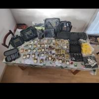 Articoli da pesca per carpe 