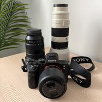 Sony A7III + 24-105 F4 / 70-200 F4 / 50 F1.8