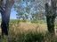 Immagine 19