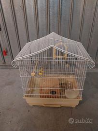 Gabbia per uccelli