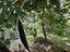 Immagine 29
