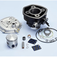 Motore  GRUPPO TERMICO POLINI 70CC D.47 SPORT come